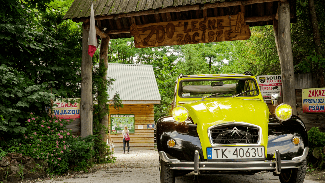 ZOO "Leśne zacisze"